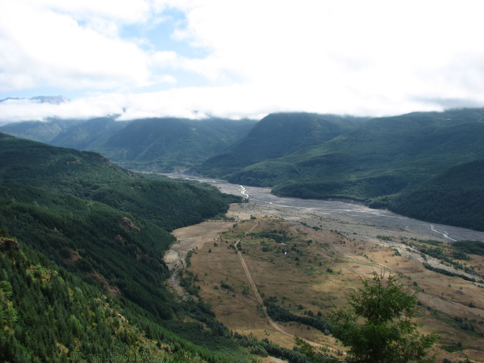 North Fork of the Toutle River