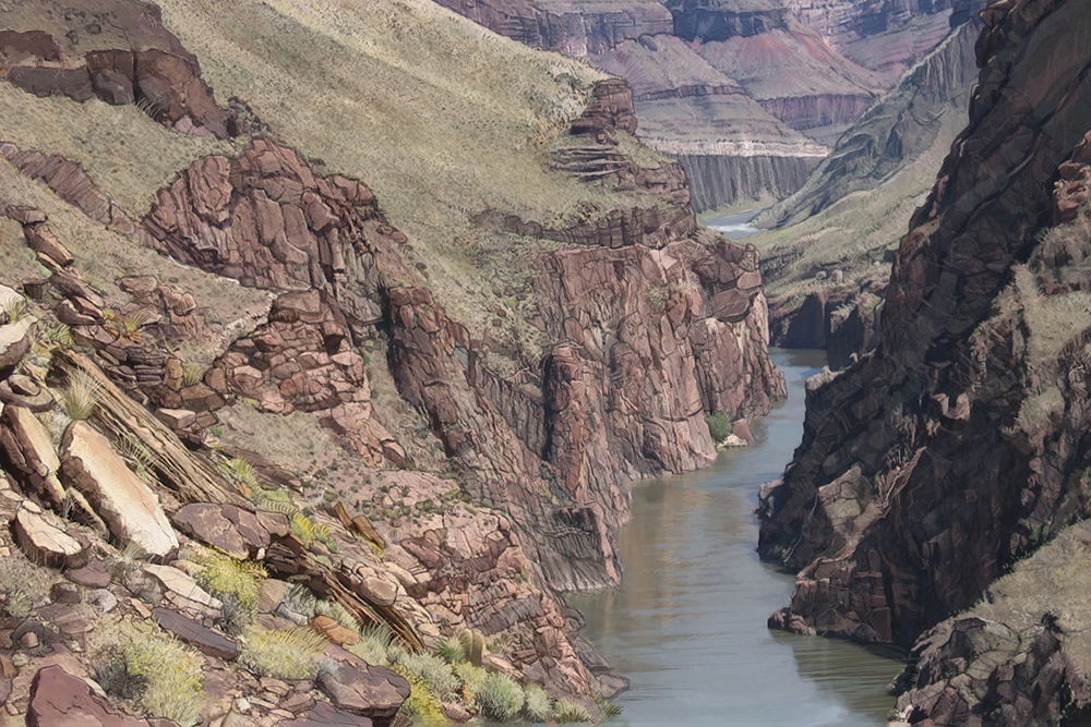 Grand Canyon River Illustration