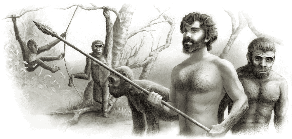 Ape Ancestry Exhibit Illustration