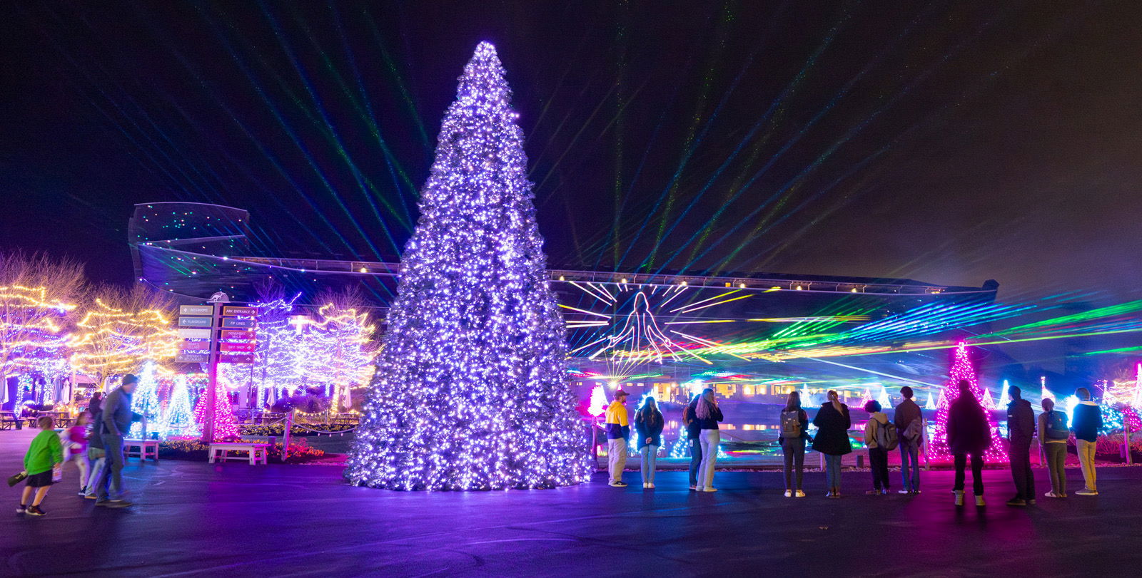 Christmas at the Ark Encounter and Christmas at the Creation Museum lights