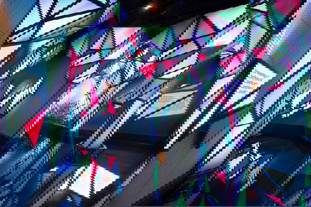 Radiance Exhibit Colorful Trees