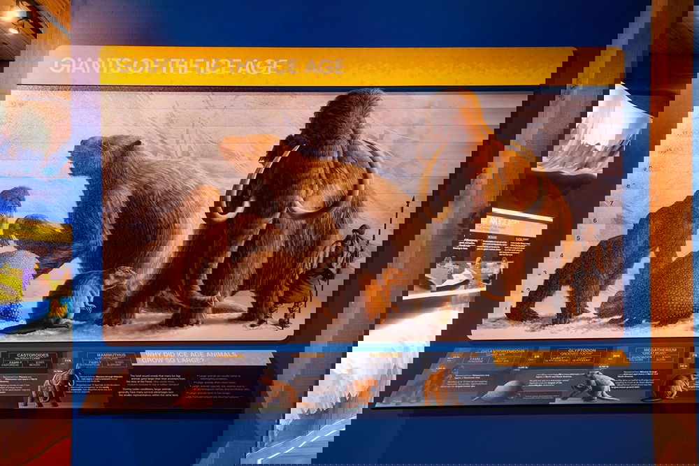 Giants of the Ice Age Display