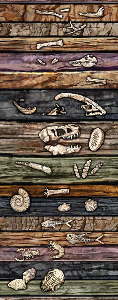 Flood Geology Artword Exhibit