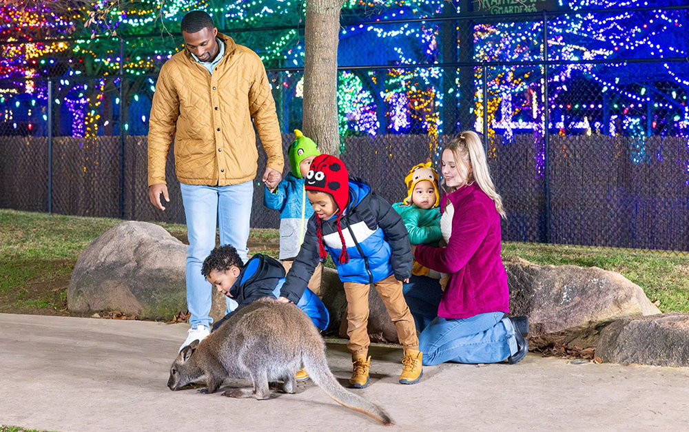 Christmas at the Ark Encounter