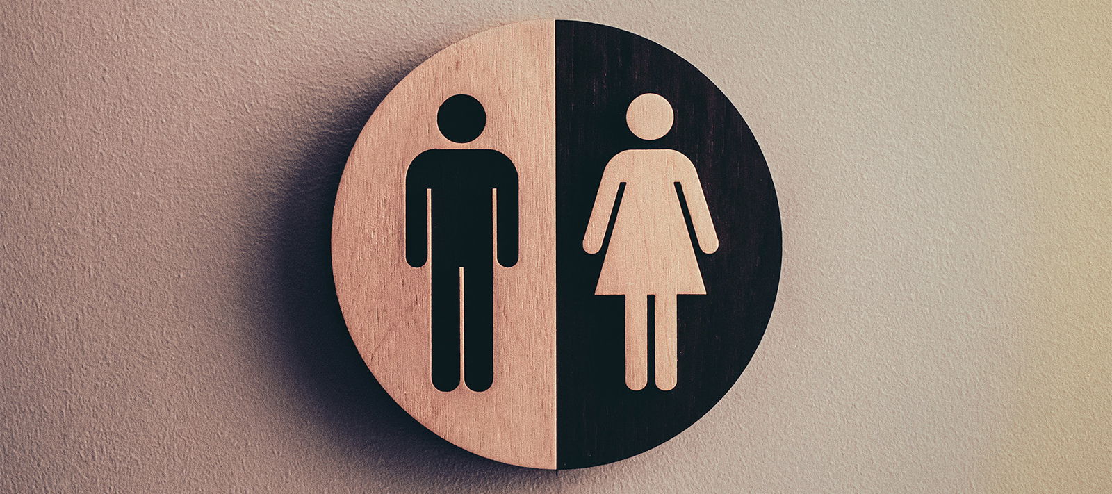 Masculine and Feminine God’s Creation Blueprint for Gender Ark Encounter