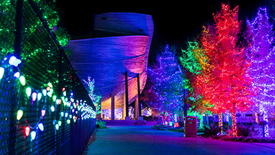 Capture the Beauty of ChristmasTime at the Ark Encounter