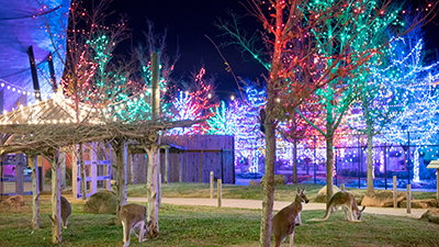 Have You Been to ChristmasTown and ChristmasTime Yet?