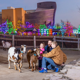 Family petting animals