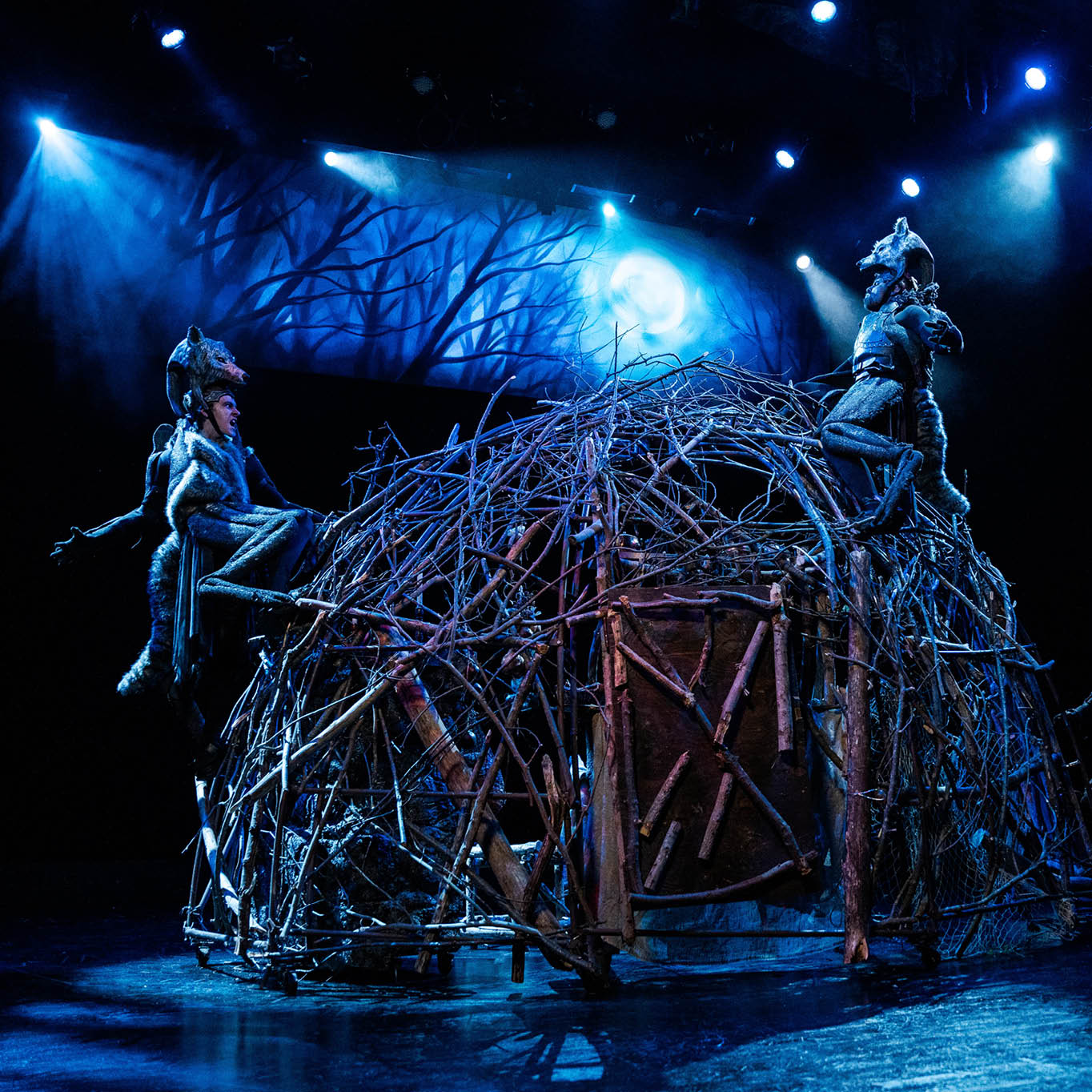 The Lion, the Witch and the Wardrobe