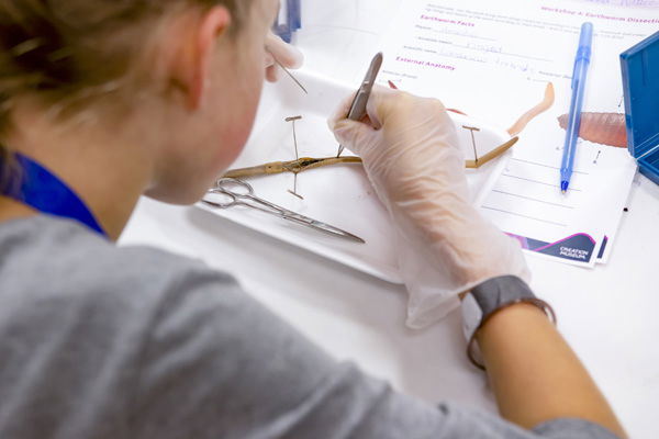 Explore Science Camps