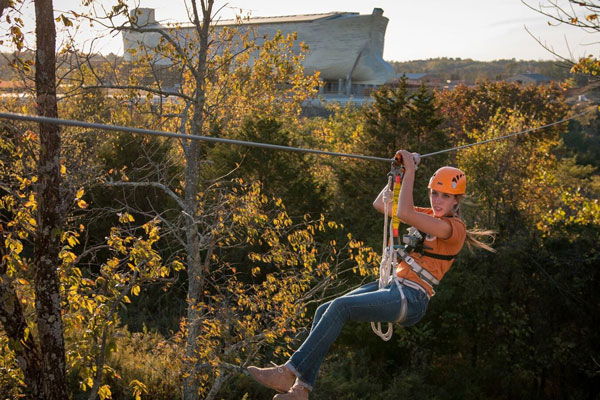 Zip Lines