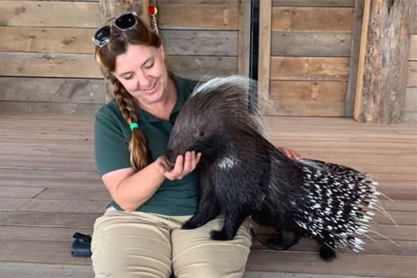 Ararat Ridge Zoo and Petting Zoo Area | Ark Encounter