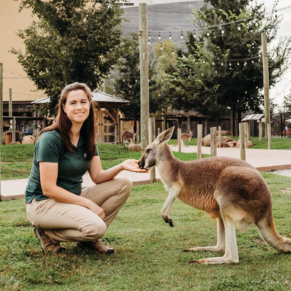 girl with kangaroo at zoo