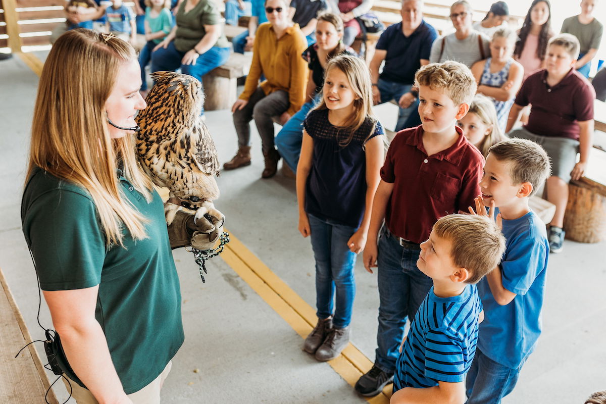 Animal Encounters