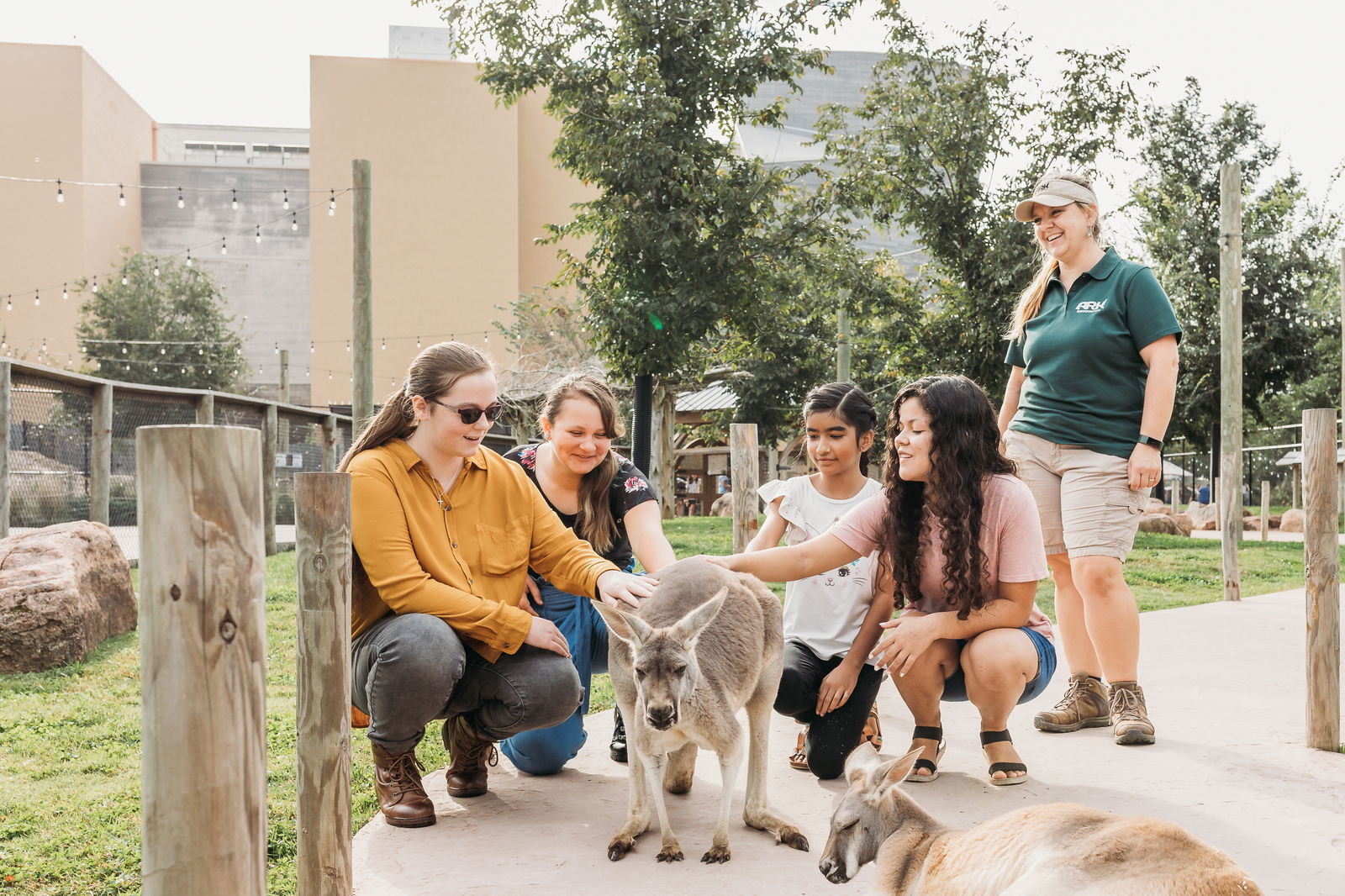 Kangaroo Walkabout