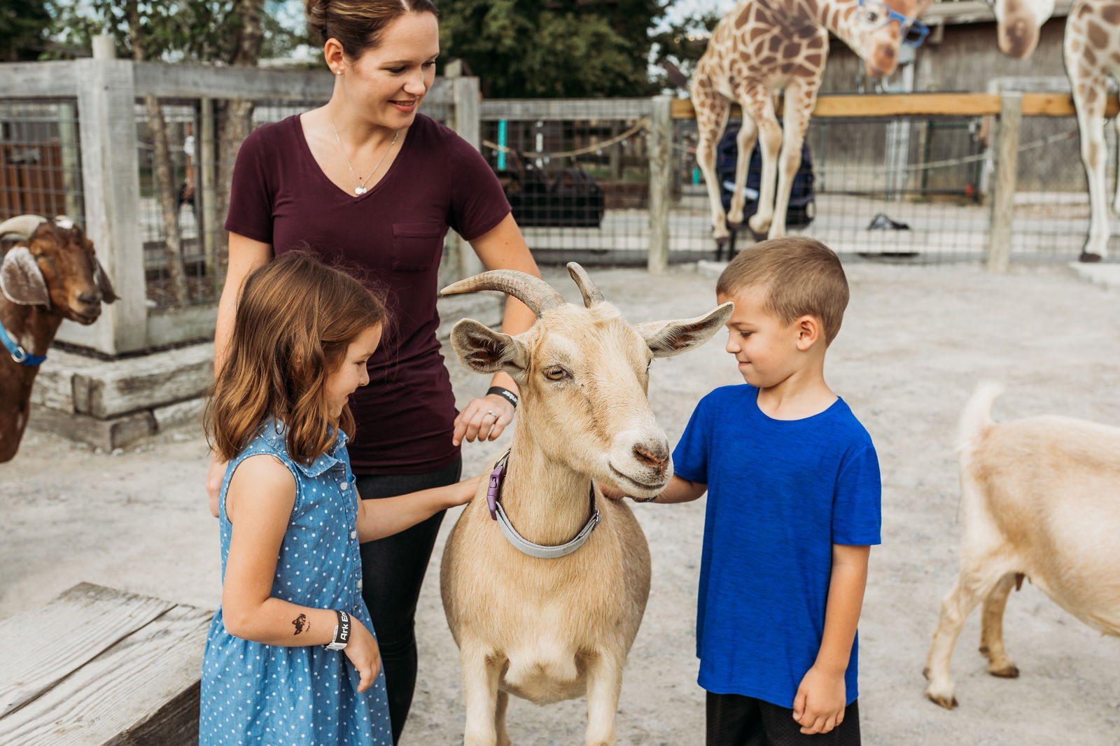 Children’s Zoo