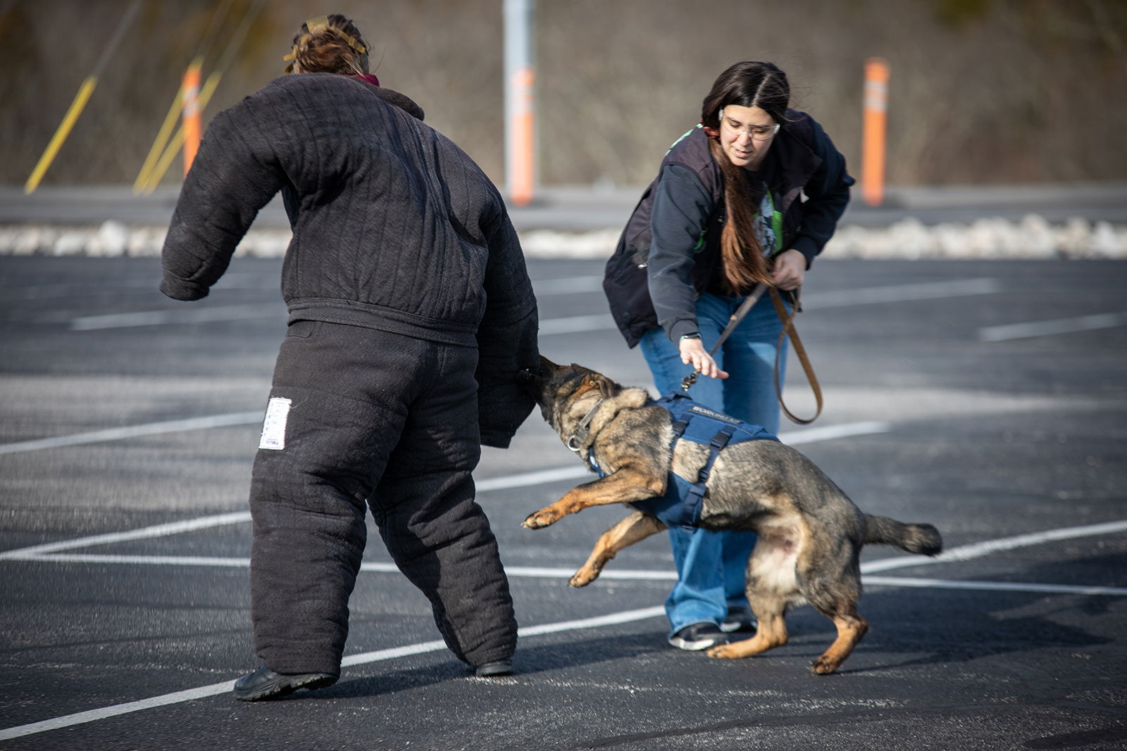 Dog handler working with canine and dummy