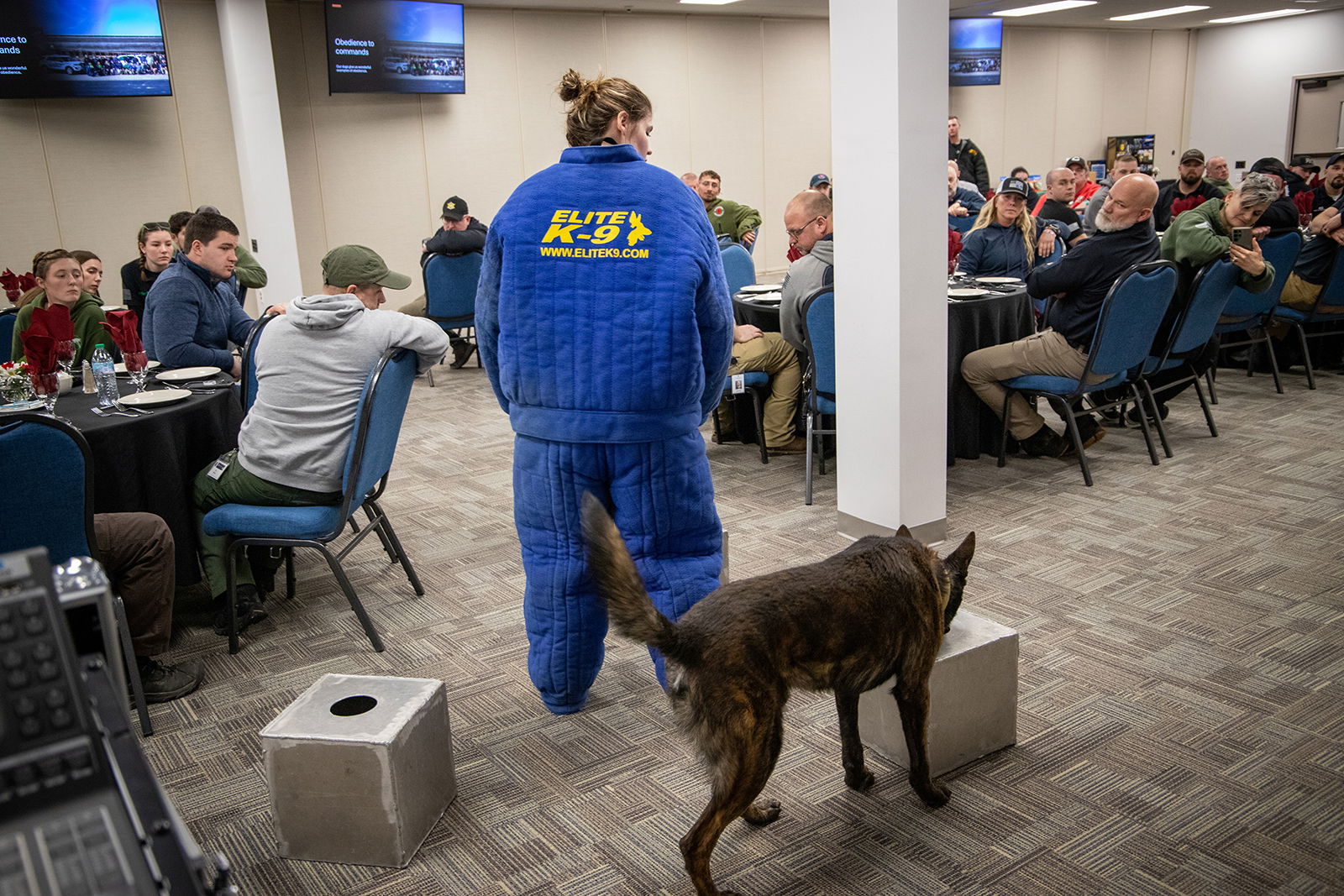Canine working with handler