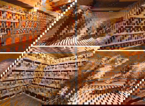deck one collage