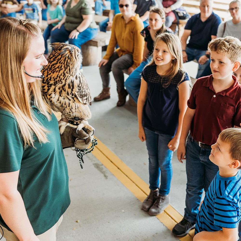 children looking at owl