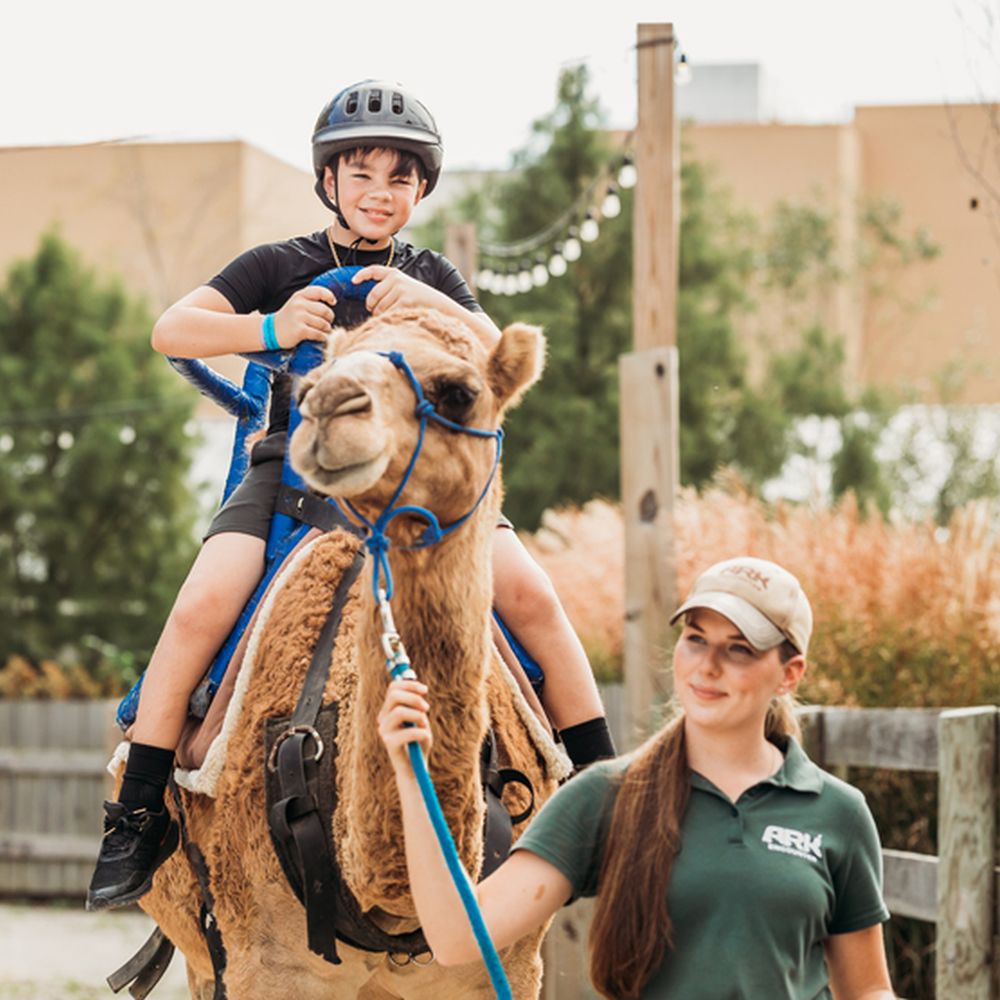 young girl riding camel being led by worker