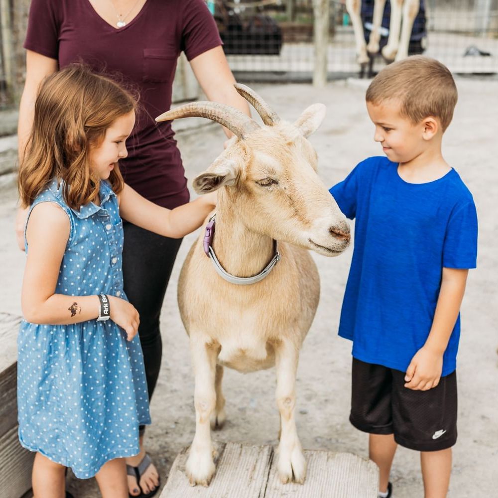 two children petting goat at zoo
