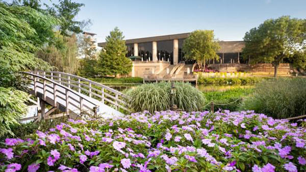 creation museum garden