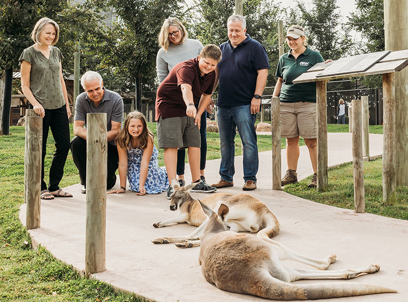 people observing wallabies