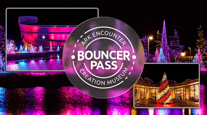 3 Day Bouncer Pass